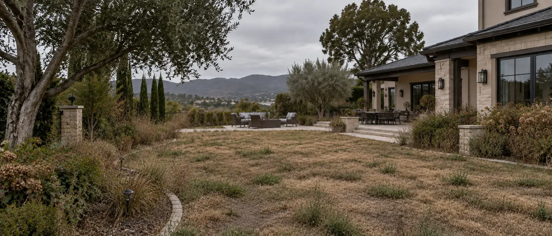 Garden before landscaping
